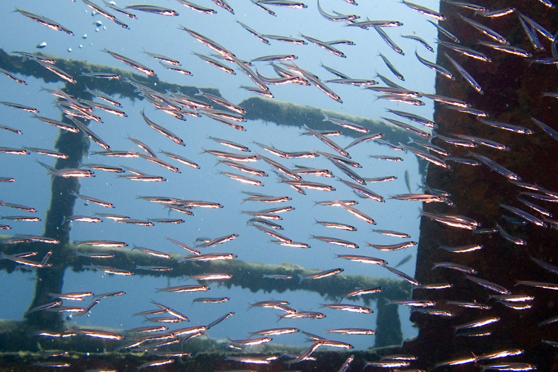 In the wheelhouse of the Mr. Bud